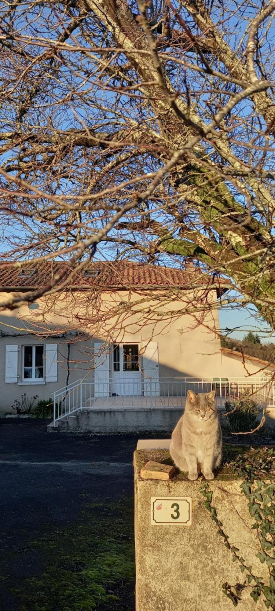 La Mesange Bleue Ecuras Exterior foto